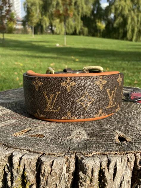 louis vuitton dog collar pitbull|luxury dog collars Louis Vuitton.